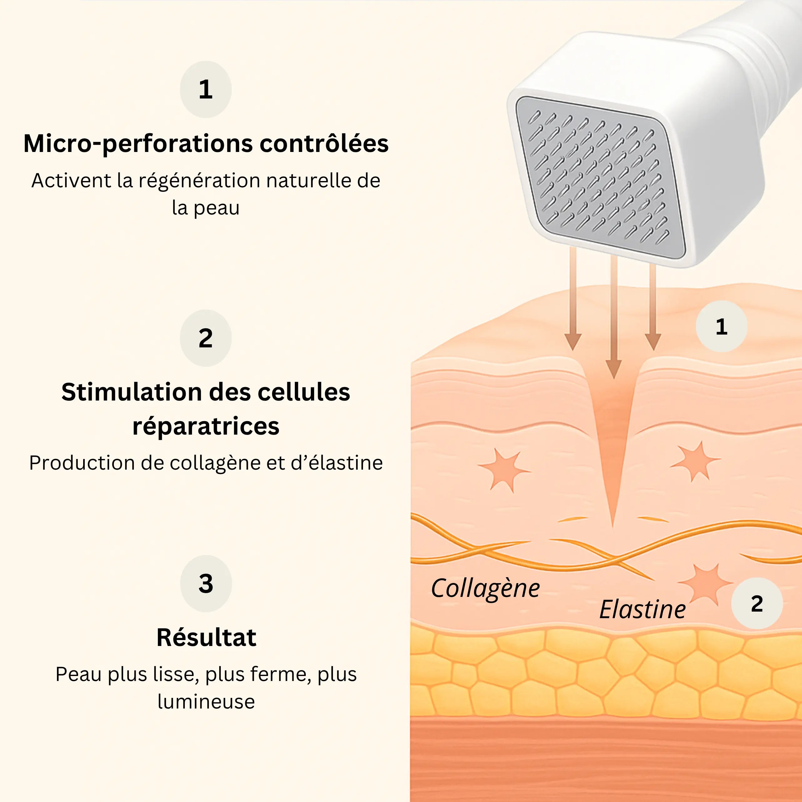 Derma Stamp | Peau rajeunie